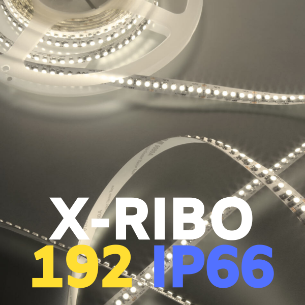 XRIBO 192 IP66